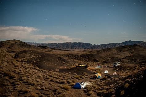 Gobi Bears Saving The Rare And Incredibly Hardy Animals From Extinction