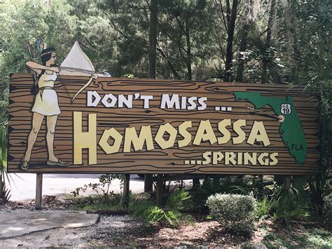 Homosassa Springs Wildlife State Park - Florida Lives