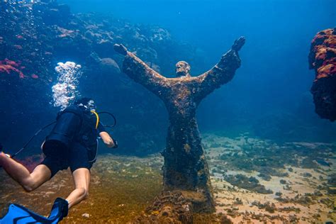 Scuba Diving Grenada Best Spots What To Expect SANDALS