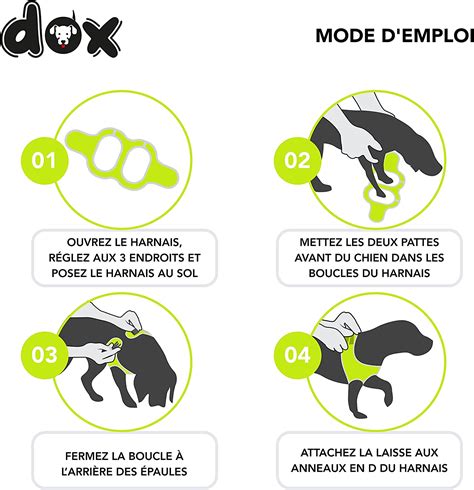 Ddoxx Harnais Chien En Air Mesh Réfléchissant À Enfiler à Prix Carrefour