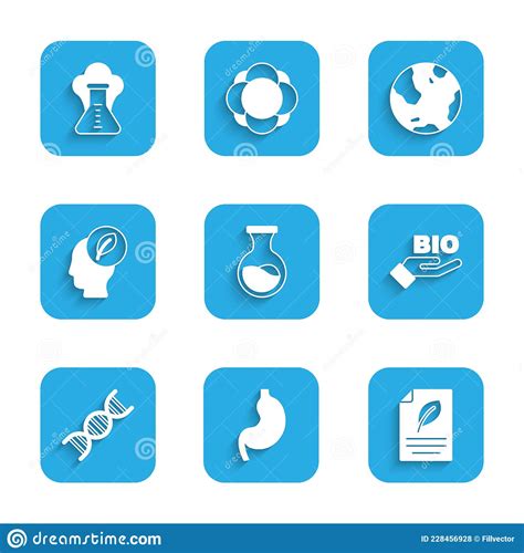 Set Test Tube And Flask Human Stomach Eco Paper With Leaf Bio