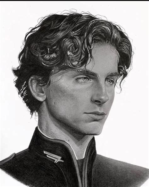 Pin di Eir Devana su Timothée Chalamet Disegno ritratti Ritratti