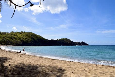 Top Des Plus Belles Plages De Martinique Le Ballon Rebelle