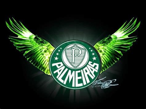 Palmeiras Wallpapers Wallpaper Cave