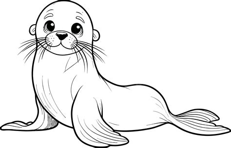 drawing of sea lion 4