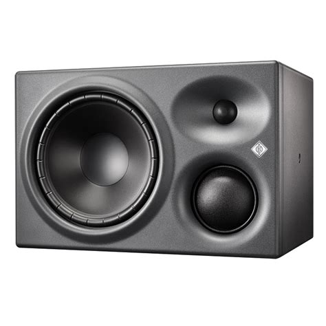 Купить Монитор для студии звукозаписи NEUMANN KH 310 D R G в Москве ...