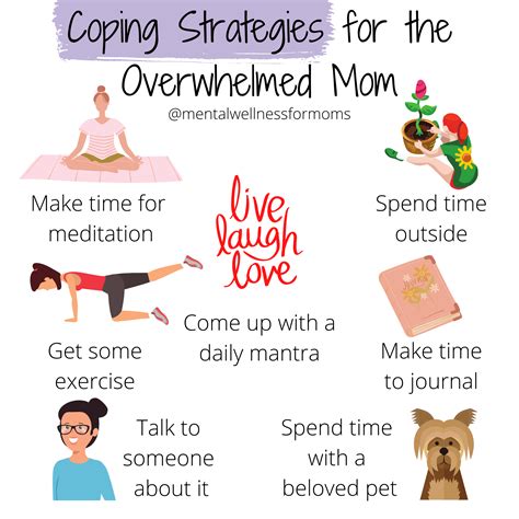 The Overwhelmed Mom - Heidi McBain