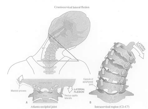 Neck Range of Motion