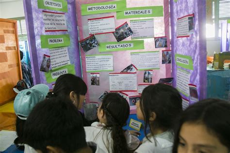 Una Feria De Ciencias Creada Por Niñas Y Niños De Viedma Diario Río Negro