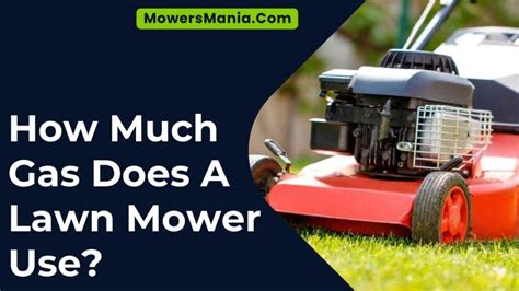 How Much Gas Does A Lawn Mower Use Mowersmaniacom