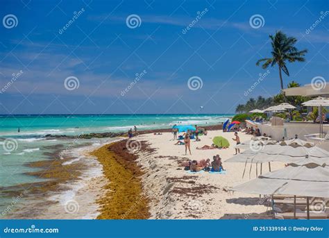 Lady In String Bikini Sunbathing On A Sandy Beach With Seaweeds In Playa Del Carmen Yukatan