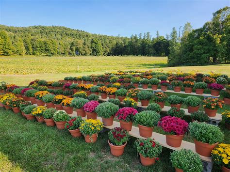Winslow Farms