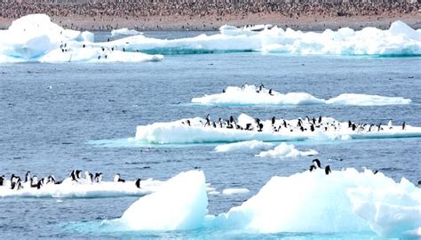 10 Southern Ocean Facts You Might Not Know
