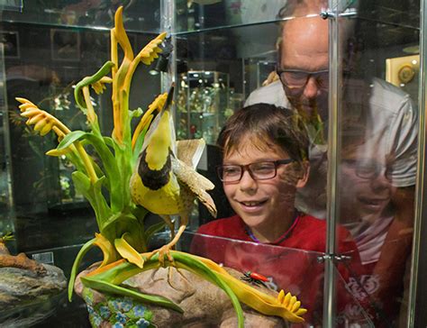 Fort Smith Regional Art Museum Celebrates 75 Years In 2023 Ay Magazine