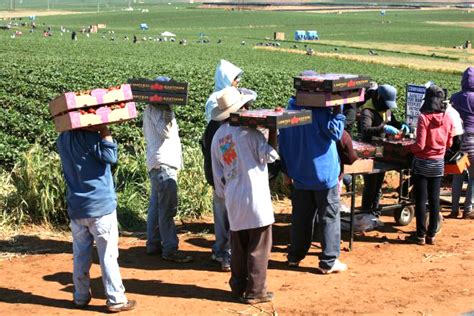 Valle de San Quintín la nueva esclavitud Semanario ZETA