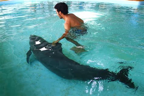 Phuket Aquarium - Educational Family Attraction in Phuket – Go Guides