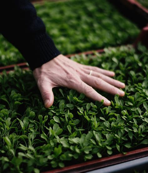 Our Investors space | Bonduelle Group