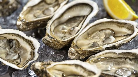 Man Gets Bacterial Infection From Raw Oysters At Charlotte Bar