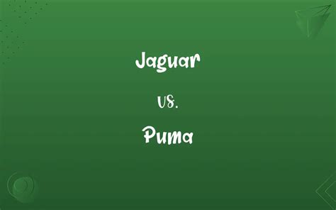 Jaguar vs. Puma: Know the Difference