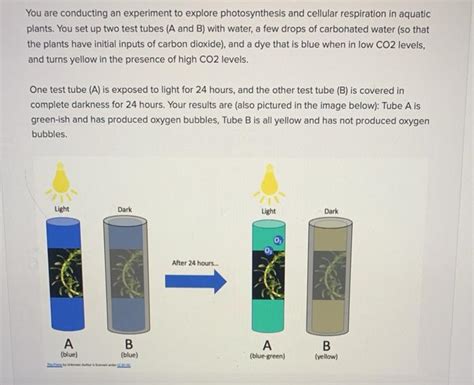 Solved You are conducting an experiment to explore | Chegg.com