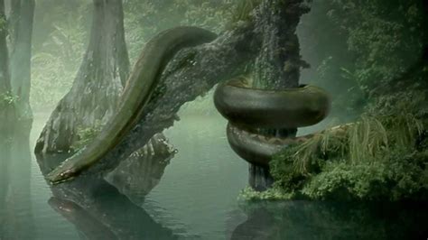 titanoboa monster snake hd youtube