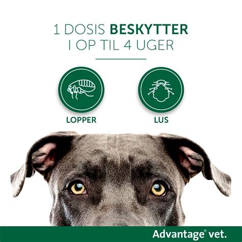Køb Advantage Vet Loppemiddel 10 25 Kg 4 X 25 Ml Hund Her