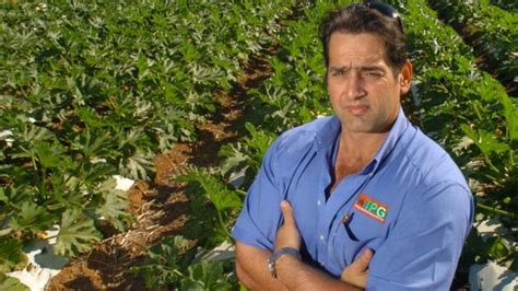 barbera farms allegedly trading  insolvent  courier mail