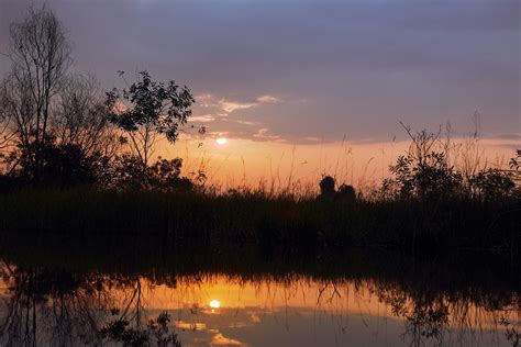 landscape  river forest  stock photo