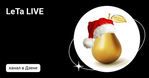 LeTa LIVE | Дзен