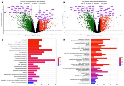 Jpm Special Issue Recent Developments In Cancer Systems Biology