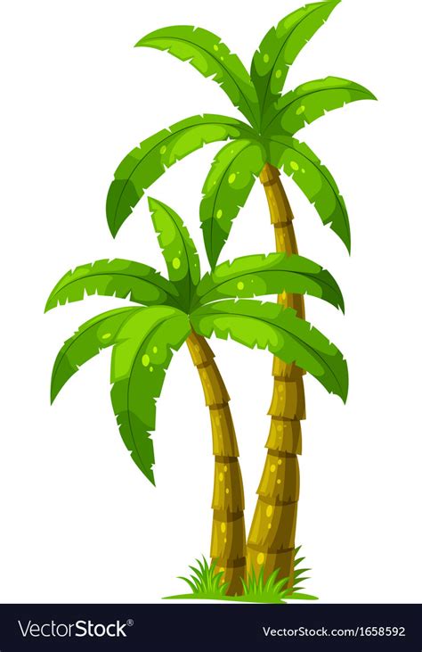 Two Palm Trees Royalty Free Vector Image Vectorstock