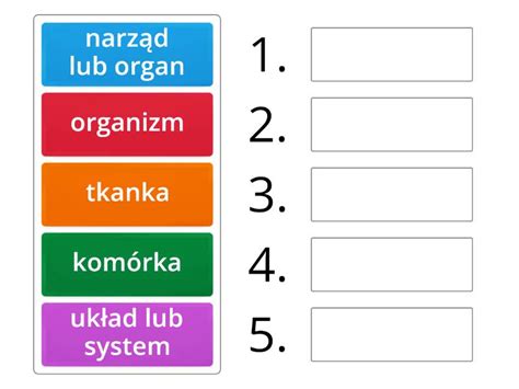 budowa organizmu wielokomórkowego Ustaw w kolejności