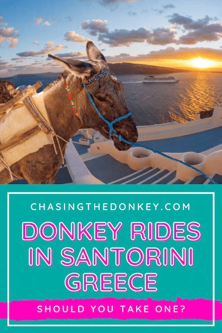 Why You Should Not Ride Donkeys In Santorini Chasing The Donkey