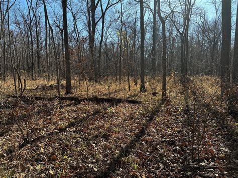 moss funeral home breese il 62230