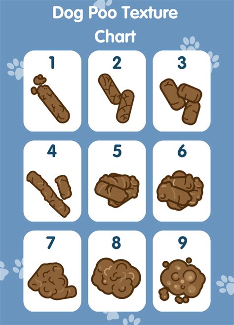 Hamster Poop Chart Atelier Yuwaciaojp