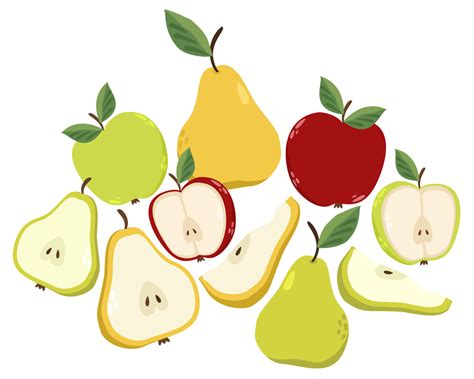 Colorful Fresh Apples And Pears Whole Halfs And Slices Vector