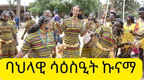 ባህላዊ ሳዕስዒት ኩናማ kunama traditional dance eritrean africanmusic