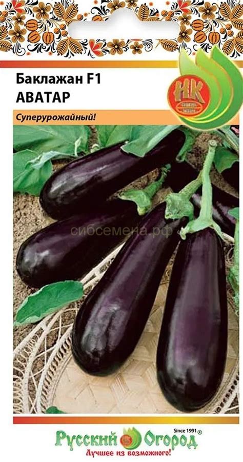 БАКЛАЖАН — Семена для Сибири