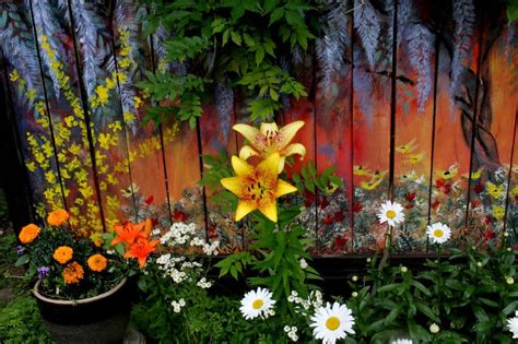 15 Eye-Catching Backyard Fence Paint Ideas to Revamp Your Outdoor Space