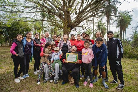 colosos de la tierra mas de  km recorridos   arboles