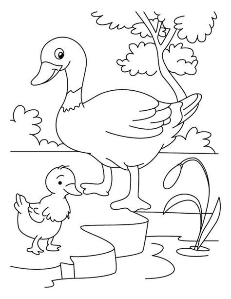 Gambar Mewarnai Bebek And Donal Bebek Lucu Banget