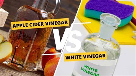 apple cider vinegar  white vinegar      weight