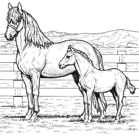 Dessin De Cheval A Colorier Et A Imprimer Gratuit Porn Sex Picture