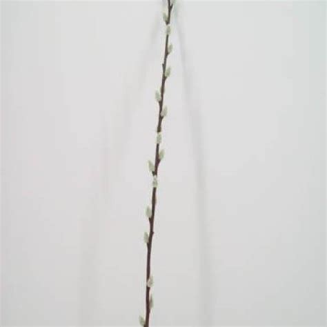 Artificial Pussy Willow