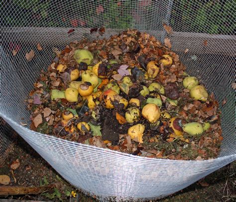 Boise Daily Photo Garden Shot Time For The Weekly Compost Stirring