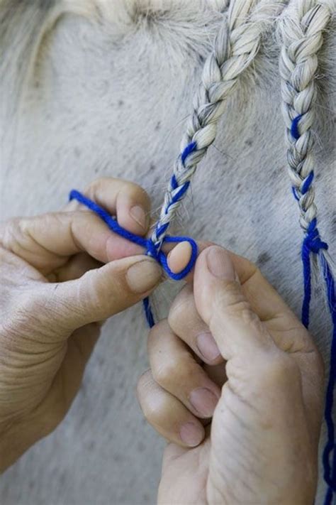 30 Amazing Horse Tail Braids Ideas To Make Your Friends Jealous Tail