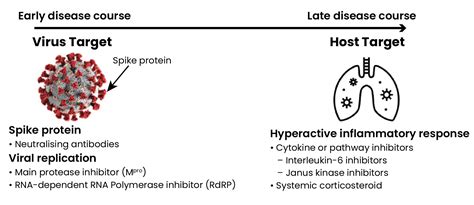 Targeting Sars Cov An Overview Of Covid Treatments