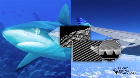 bionic surface technologies - Member of the World Alliance