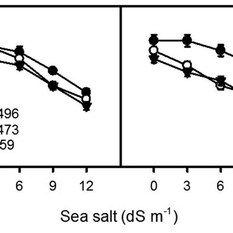 Effect Of Salinity On Seed Germination And Seedling Establishment Of