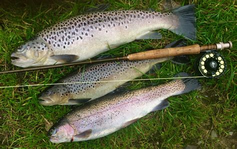 South Molton Anglers Visit Bratton Water - North Devon & Exmoor Angling